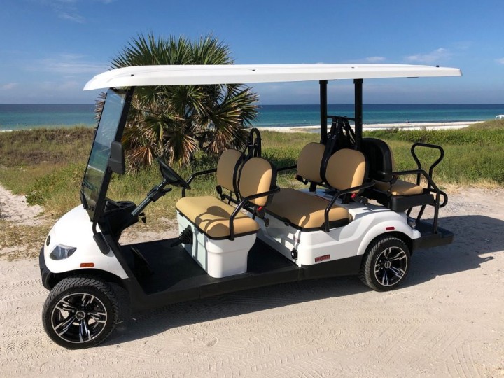 6 Seater Golf Cart