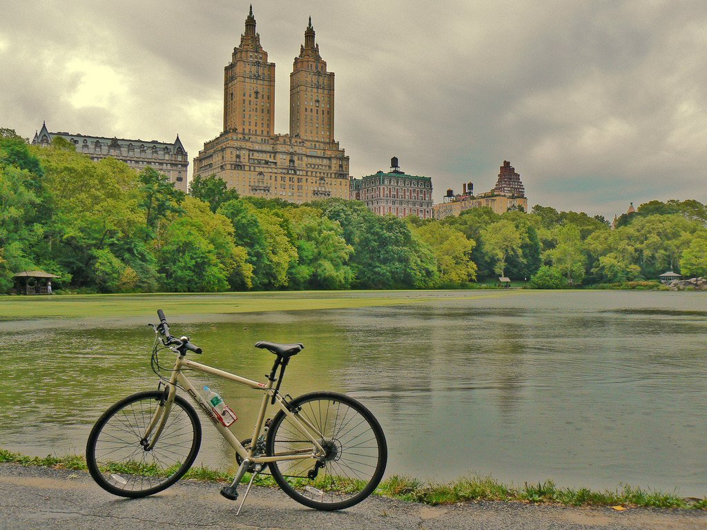 Bike Rental for 3 hours NY - Image 1 of 1