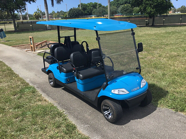 Golf Cart (6 Passenger) - Image 1 of 1