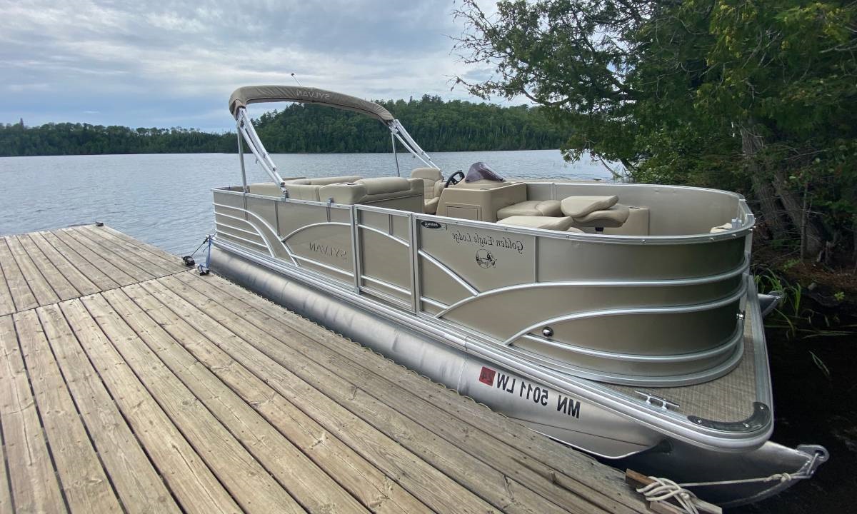 Minneapolis Pontoon Boat - Image 1 of 1