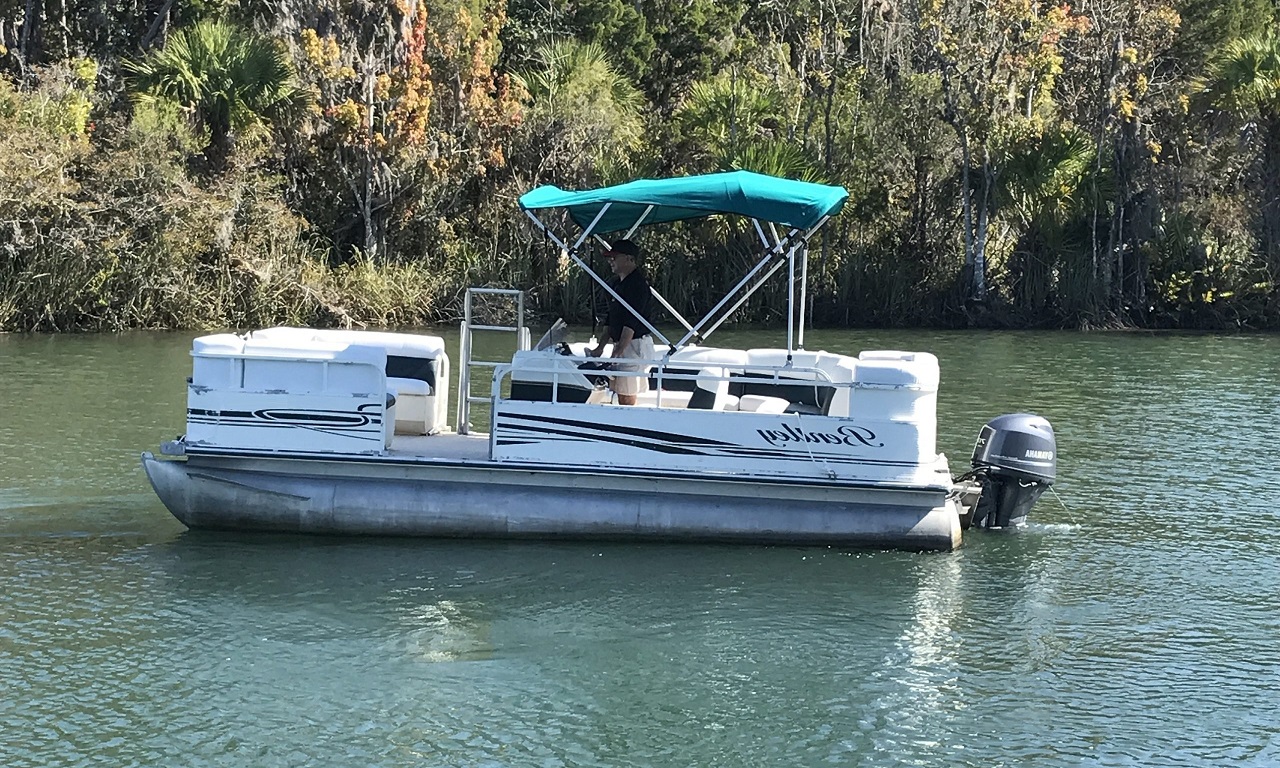 Crystal River Pontoon Boat Tours - Image 1 of 1