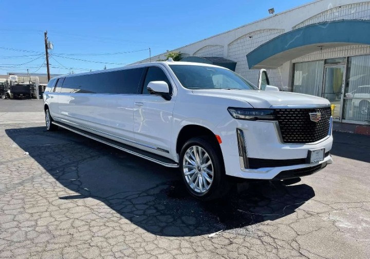 Limousine rental in Rochester