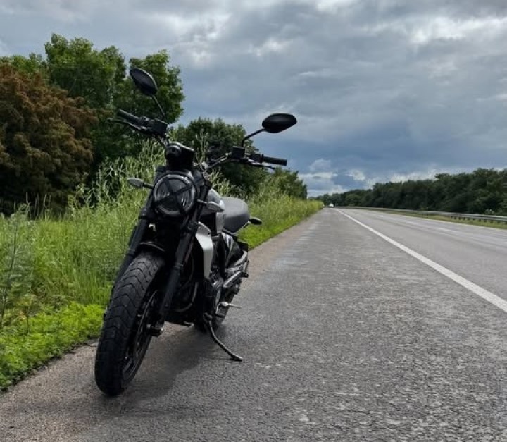 2024 Ducati Scrambler 800 Icon